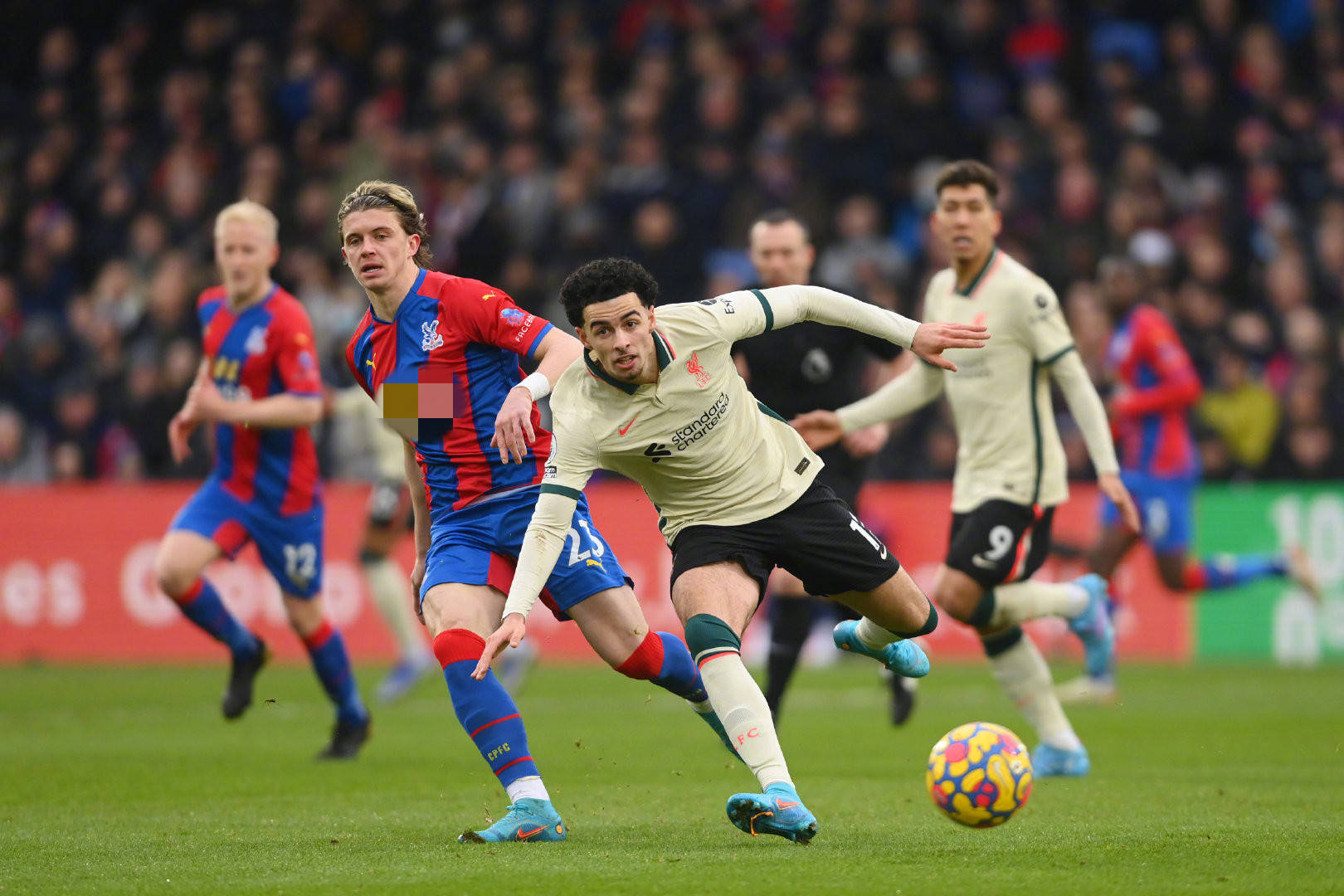 每日坚持清 每日坚持清