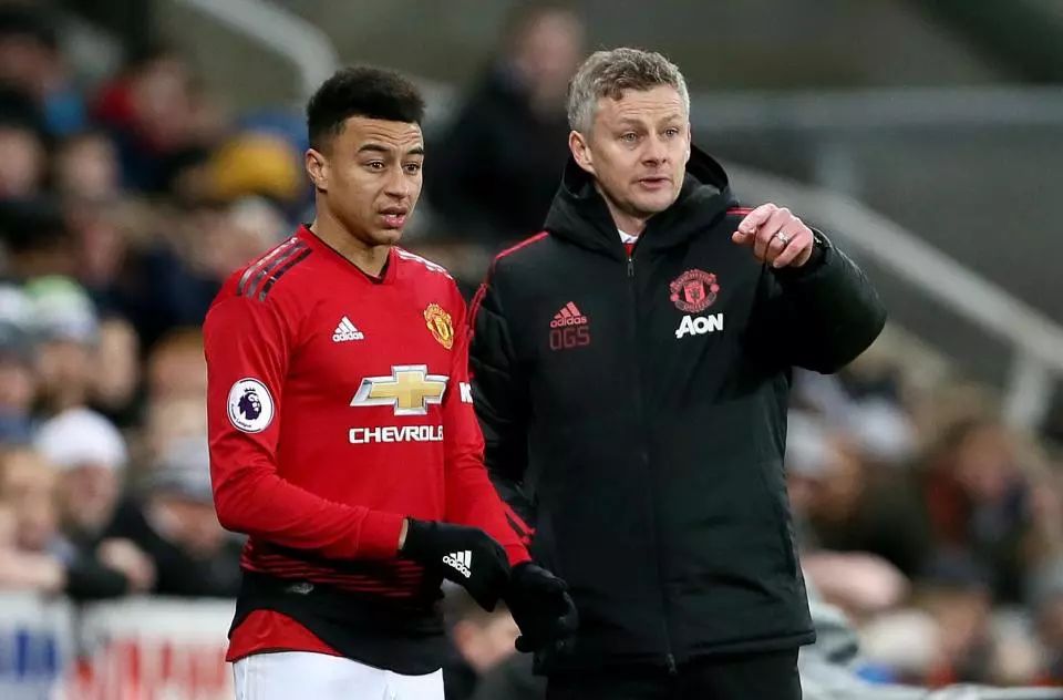 的选材和培 的选材和培